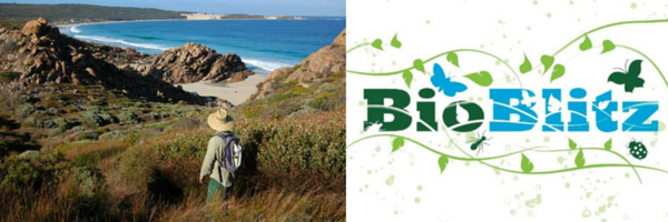 Get involved with the Cape to Cape Catchments Group