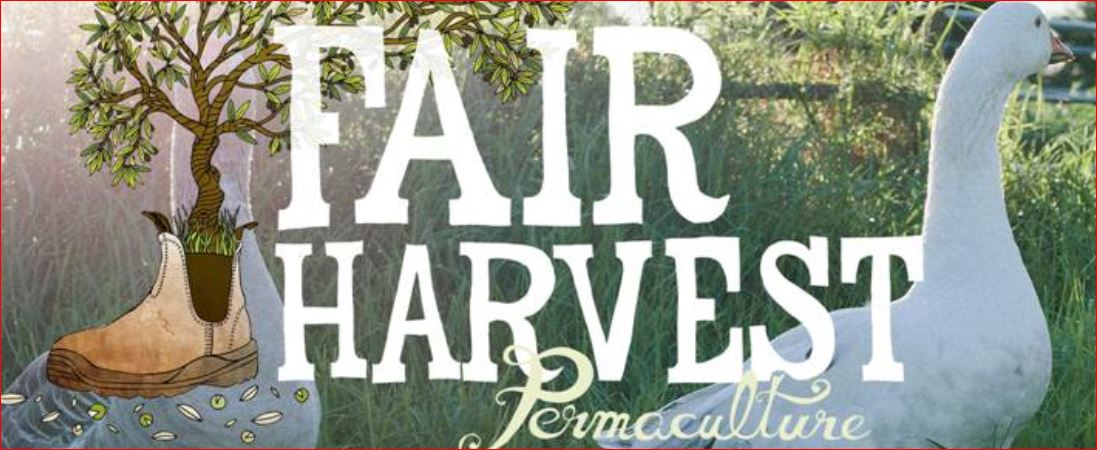 New member: Fair Harvest