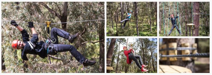 New member: Forest Adventures South West