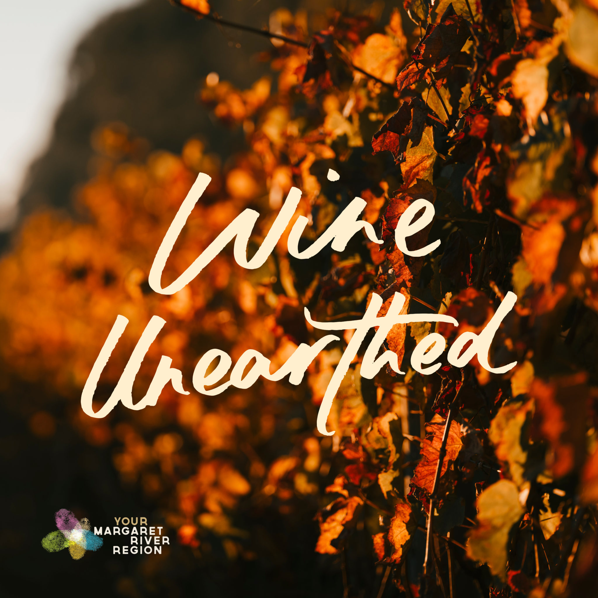 Wine Unearthed Promotional Material