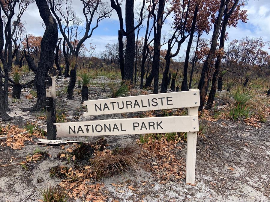 The National Park Needs Our Support